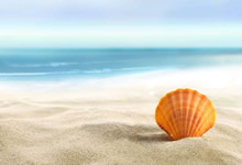 浪琴專注腕上呈現(xiàn)“優(yōu)雅”的表款系列